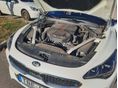 KIA STINGER 2019/11 - 6