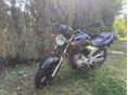 YAMAHA YBR 250 