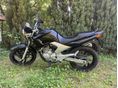 YAMAHA YBR 250 2009 - 2