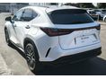 LEXUS NX 2024/2 - 3