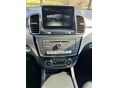 MERCEDES-BENZ GLE 250 2017/10 - 10