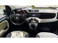 FIAT PANDA 2012/9 - 6