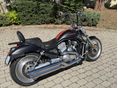 HARLEY-DAVIDSON V-ROD (VRSCB) 