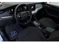 www.cartrend.hu
