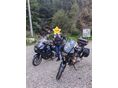 YAMAHA XJ 600 S 2002/1 - 2