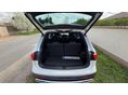SEAT TARRACO 2019/8 - 5