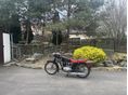PANNONIA T5H 1968 - 3