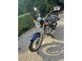 SUZUKI GZ 250 (MARAUDER) 2003/12 - 3