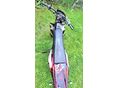 DERBI SENDA X-TREME 50 2008/8 - 3