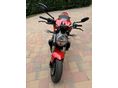 DUCATI MONSTER 821 2021/10 - 2