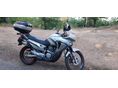 HONDA XL 650 V Transalp