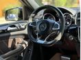 MERCEDES-AMG GLS 2019/2 - 11