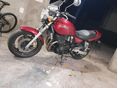 SUZUKI GW 250 INAZUMA 