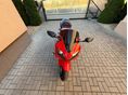 HONDA CBR 600 F4 2007/11 - 5