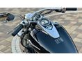 KAWASAKI VN 900 CUSTOM 2008/5 - 10