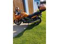 HONDA CBF 1000 