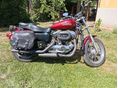 HARLEY-DAVIDSON SPORTSTER 1200 CUSTOM 2008/11 - 2