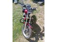 HARLEY-DAVIDSON SPORTSTER 1200 CUSTOM 2008/11 - 3