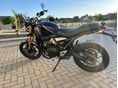 TRIUMPH SPEED 400 2024/8 - 2