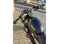 TRIUMPH SPEED 400 2024/8 - 4