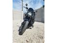 MORBIDELLI C1002V 2025/8 - 4