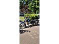 SUZUKI GZ 125 (MARAUDER) 1998/5 - 5