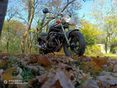 YAMAHA XJ 600 N 1994 - 3