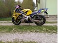 HONDA CBR 600 F4 2002/6 - 2