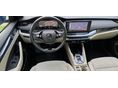 SKODA OCTAVIA 2020/9 - 19