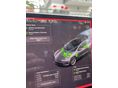 TESLA MODEL 3 2021/5 - 15