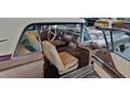 FORD THUNDERBIRD 1959 - 18