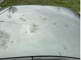 NISSAN ALMERA 2003/3 - 12
