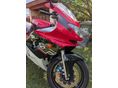 YAMAHA YZF 600 R 1998/7 - 9