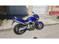 HONDA CB 600 F (HORNET) 2003/5 - 7