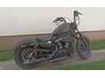 HARLEY-DAVIDSON SPORTSTER 883 IRON 2011/4 - 2