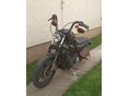 HARLEY-DAVIDSON SPORTSTER 883 IRON 