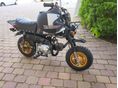 HONDA Z 50 J MONKEY 1992/1 - 2