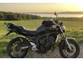 YAMAHA FZ6-N 