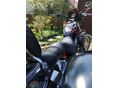 HARLEY-DAVIDSON SPORTSTER 883 R 2003 - 4