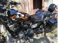 HARLEY-DAVIDSON SPORTSTER 883 R 2003 - 6