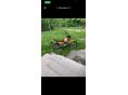 HONDA NX 125 
