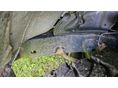 TOYOTA LAND CRUISER 2002/4 - 9