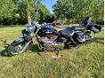 YAMAHA XVS 250 2004/7 - 2