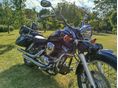 YAMAHA XVS 250 2004/7 - 7