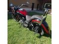 YAMAHA XVS 1100 A DRAG STAR 2002/5 - 3