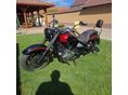 YAMAHA XVS 1100 A DRAG STAR 2002/5 - 4