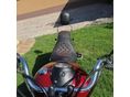 YAMAHA XVS 1100 A DRAG STAR 2002/5 - 5