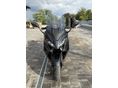 YAMAHA TMAX 500 2023/7 - 2
