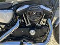 HARLEY-DAVIDSON XL 2020/9 - 5