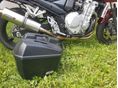 SUZUKI GSF 650 S 2007/6 - 5